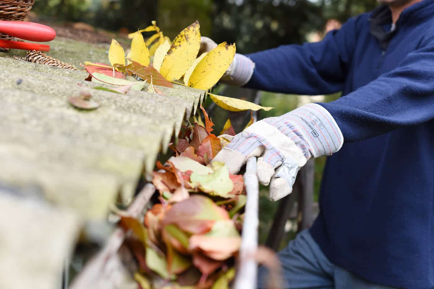 El Cajon Rain Gutter Cleaning Near Me