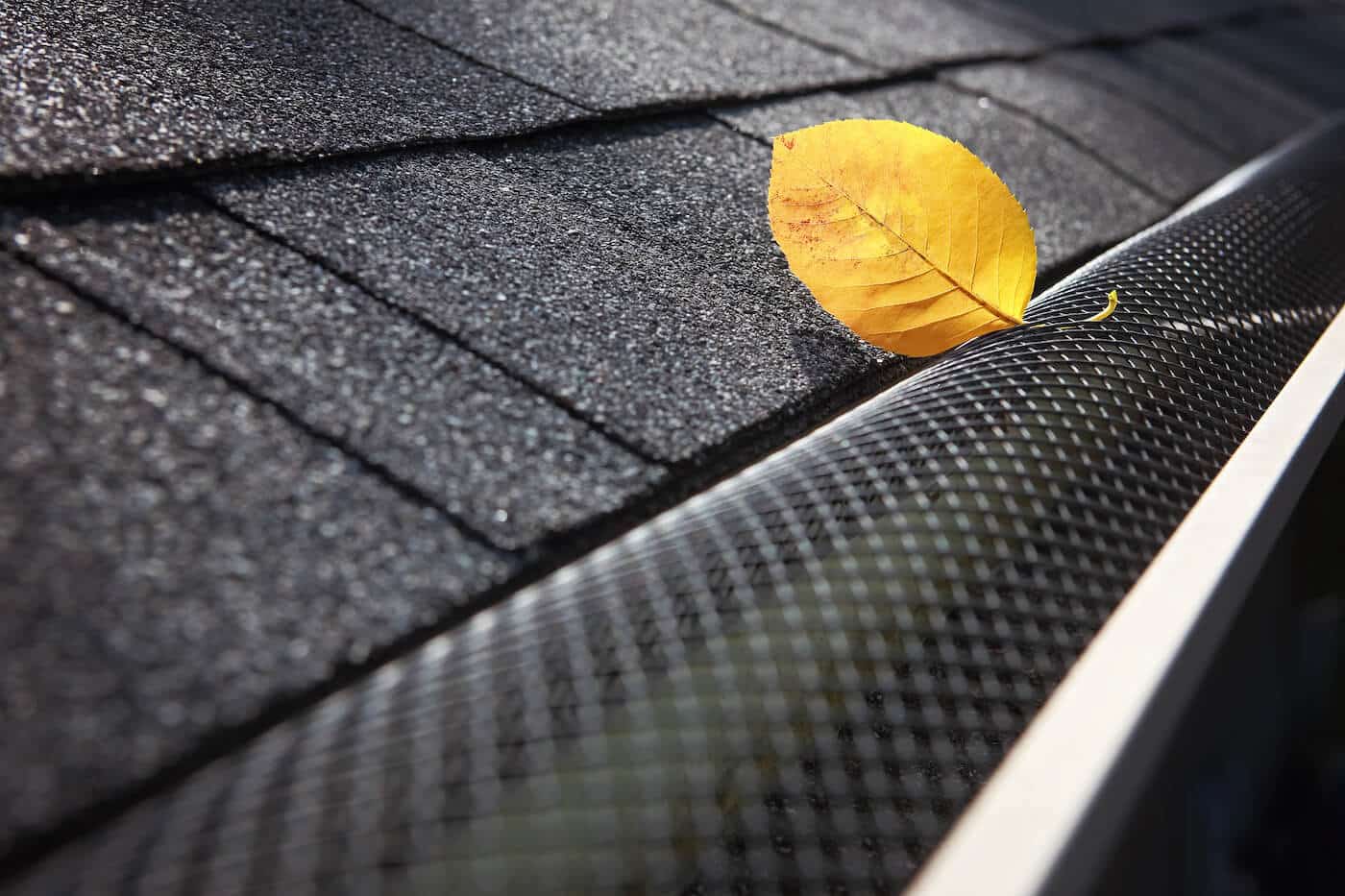 best gutter guards Chula Vista, CA